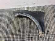 Kotflügel vorne links LAND ROVER RANGE ROVER EVOQUE (L538) 2.2 D