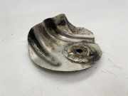 Hitzeschutz BMW 3 (E46) 320 d 1094624