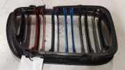 Gitter Grill vorne links BMW 5 Touring (E61) 530 d