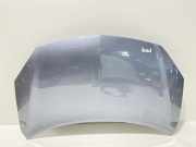 Motorhaube RENAULT KOLEOS I (HY_) 2.0 dCi 4x4 (HY0B)