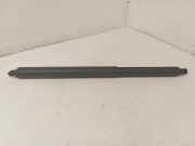Heckklappe Gasdruckfeder rechts MERCEDES-BENZ GL (X164) GL 420 CDI 4-matic (164.828)
