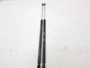 Heckklappe Gasdruckfeder rechts RENAULT KANGOO Express (FC0/1_) 1.4 (FC0C, FC0B, FC0H, FC0M)