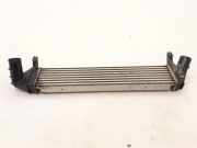 Ladeluftkühler DACIA DUSTER 1.5 dCi 8200409045