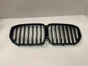 Vorderer oberer Gitter BMW 7 (G11, G12) 740 d, Ld xDrive