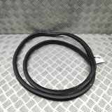 Türgummi links hinten Citroen C3 III (SX) 9813059680