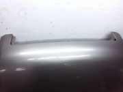 Motorhaube FORD FOCUS (DAW, DBW) 1.8 Turbo DI / TDDi