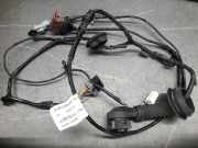 Kabel Tür Peugeot 406 ()