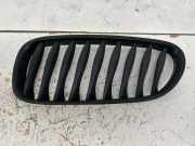 Gitter Grill vorne links BMW Z4 Roadster (E85) 2.5 si