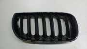 Gitter Grill vorne links BMW X3 (E83) 3.0 d 3402910