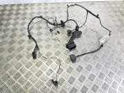 Türverkabelung hinten rechts FORD GALAXY III (CK) 1.5 EcoBoost 6G9T14240