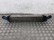 Ladeluftkühler AUDI A4 Avant (8K5, B8) 2.0 TDI 8K0145805G