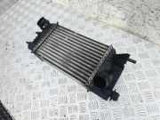Ladeluftkühler NISSAN JUKE (F15) 1.5 dCi 144611KB2A