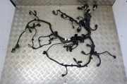 Motor Kabelbaum BMW X2 (F39) X2 xDrive20d 7390327
