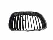 Vorderer oberer Gitter BMW 1 (E87) 118 d 7179656 22405910