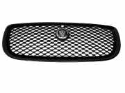 Kühlergrill oben Jaguar XJ (X35) FW938B271