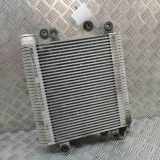 Ladeluftkühler Isuzu D-Max I (TFR, TFS) 8981148150