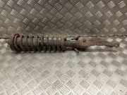 Stoßdämpfer vorne rechts HONDA CIVIC VI Hatchback (EJ, EK) 1.4 i (EJ9)