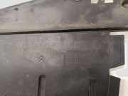 Kühlerluftumlenker CITROËN C3 Pluriel (HB_) 1.6 9680096480