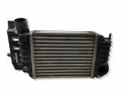 Ladeluftkühler TOYOTA YARIS (_P9_) 1.4 D-4D (NLP90_) 0N020