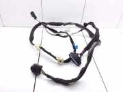 Türverkabelung hinten links