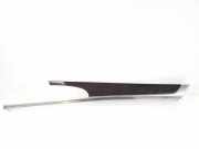 Türverkleidung rechts hinten Porsche Panamera 1 (970) 97055538403