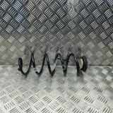 Schraubenfeder hinten links