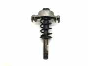 Stoßdämpfersatz Vorderachse Audi Q5 (8R) 8R0031G