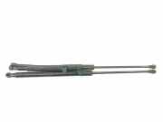 Heckklappe Gasdruckfeder rechts BMW 4 Cabrio (F33, F83) 420 d 7491954