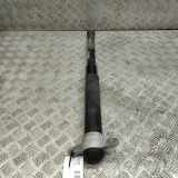 Stoßdämpfer hinten links FORD FOCUS IV (HN) 1.0 EcoBoost JX61-18080-EAE