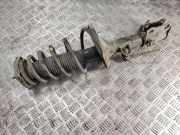 Stoßdämpfer hinten links