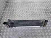 Ladeluftkühler Ford Mondeo IV (BA7)