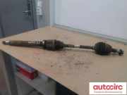 Kardanwelle Ford Focus III (DYB) BV613B436TB
