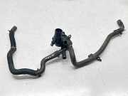 Thermostat RENAULT MEGANE III Grandtour (KZ0/1) 1.2 TCe 110617089R D0701509H