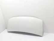 Motorhaube RENAULT MASTER II Furgon (FD) 2.5 dCi 120 7751469067