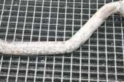 Katalysator ohne Lambdasonde Mercedes-Benz SL (R230) A2204904614