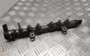 Einspritzleiste Land Rover Range Rover Evoque I (L538) 0445214332