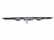 Gehäuse für Kennzeichenleuchte Volvo S60 I (384) 31391197