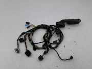 Kabel Tür BMW X5 (E53) 8386010