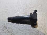 Zündspule TOYOTA RAV 4 III (_A3_) 2.0 4WD (ACA30_) 9091902244