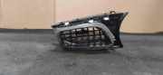 Frischluftgrill OPEL INSIGNIA A (G09) 1.4 06N0V2019