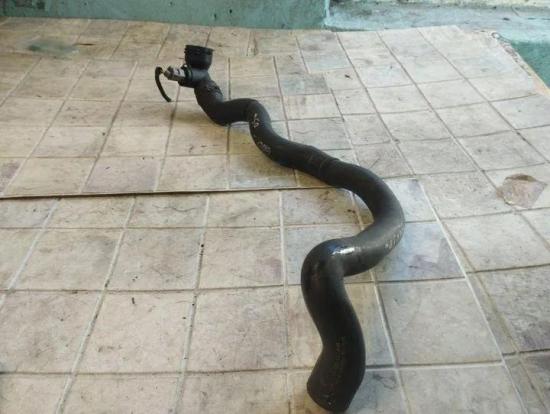 Schlauch Kühlung VW GOLF V (1K1) 1.9 TDI 1K0122291AD Bild Schlauch Kühlung VW GOLF V (1K1) 1.9 TDI 1K0122291AD