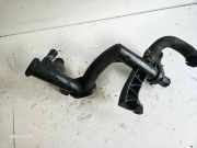 Schlauch Kühlung PEUGEOT 207 CC (WD_) 1.6 HDi 042551