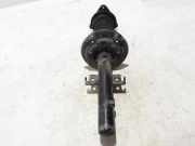 Stoßdämpfer vorne rechts RENAULT ESPACE V (JR_) 1.6 dCi 160 543027894R