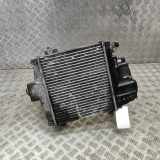 Ladeluftkühler TOYOTA LAND CRUISER 120 (_J12_) 3.0 D-4D (KDJ120, KDJ150, KDJ125) 89421-20210 17940-30020