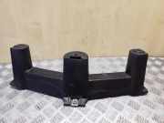 Anderes Undercover Panel MERCEDES-BENZ B (W246, W242) B 220 CDI / d (246.203) A2426820086