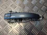 Türaußengriff hinten links