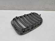Vorderer oberer Gitter BMW X1 (E84) xDrive 23 d 2993308