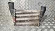 Ladeluftkühler AUDI A4 (8D2, B5) 1.9 TDI quattro 1402007