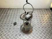 Kraftstoffpumpe Hyundai Tucson III (TL, TLE) 31110D7000