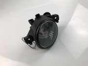 Nebelscheinwerfer links vorne Renault Laguna II (G)